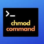 How to use chmod command in Linux or Ubuntu with examples